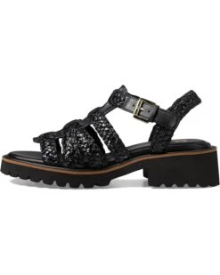 Seychelles Chickadee | Heels 11 Seychelles Chickadee | Heels -ZAPPOS STORE 71CRtijIwPL. AC SR736920