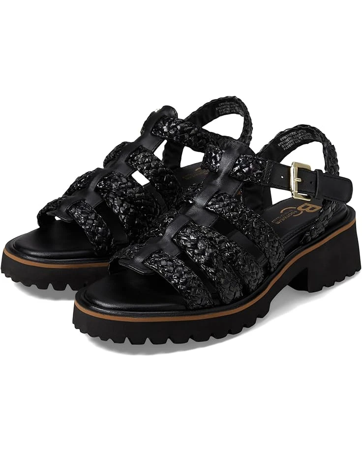 Seychelles Chickadee | Heels 3 Seychelles Chickadee | Heels